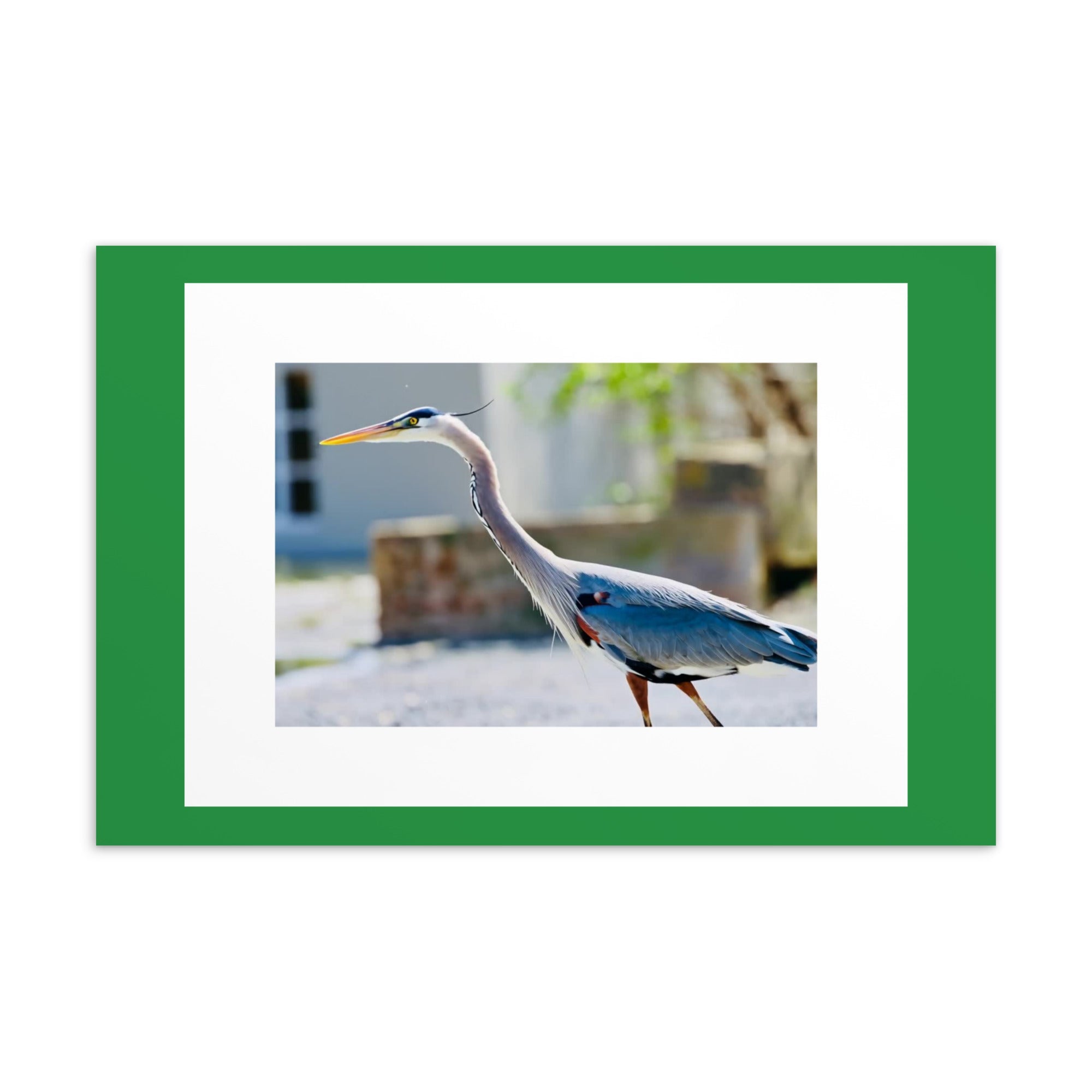Standard Postcard - Nature By PoliStandard PostcardNature By Poli Nature By Poli