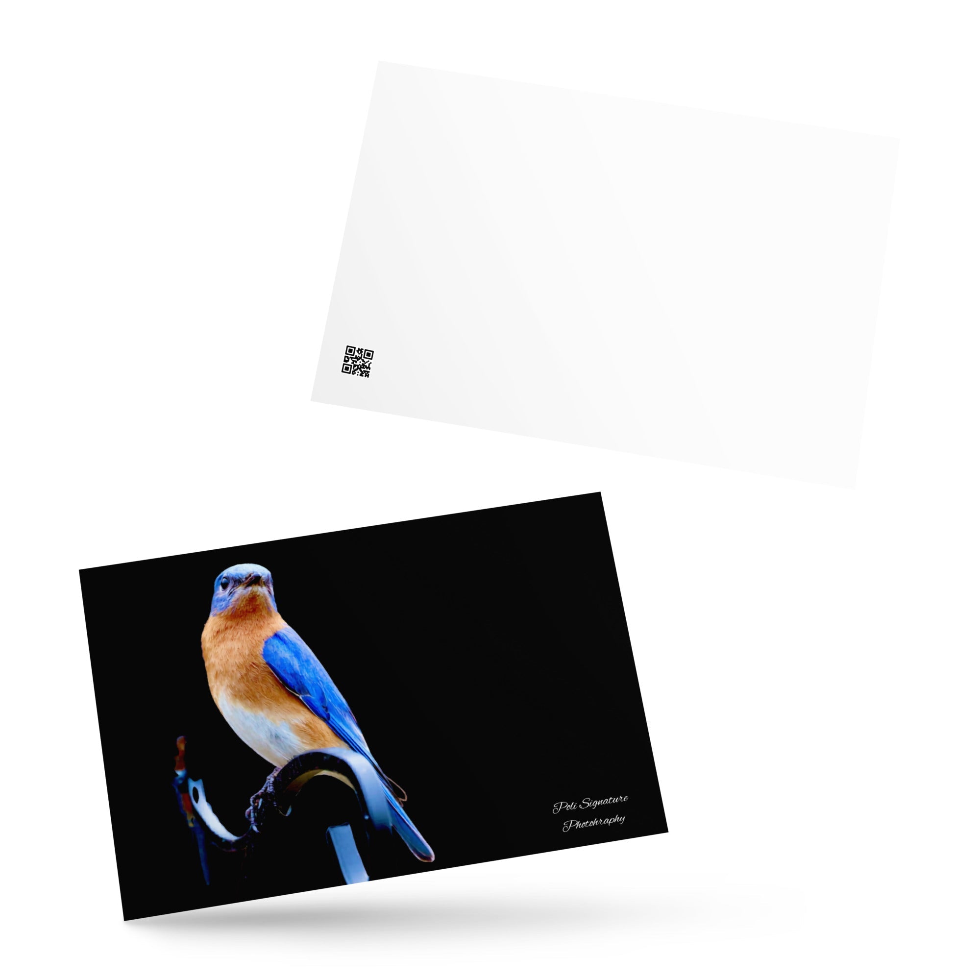 Standard Postcard - Nature By PoliStandard PostcardNature By Poli Nature By Poli
